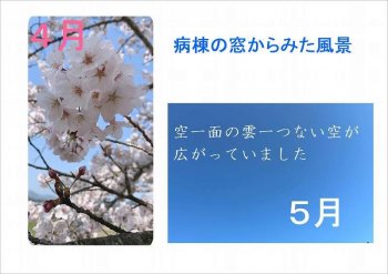 病棟の窓から見える風景　　　　　２病棟