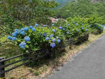 梅雨の季節ですね(⁠^⁠^⁠)　　　　６病棟