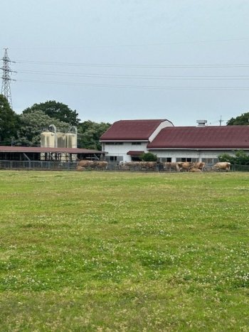 トライやる・デイ　共進牧場工場見学　