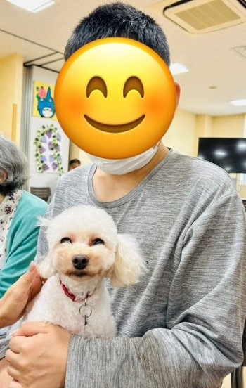 セラピードックと触れ合おう